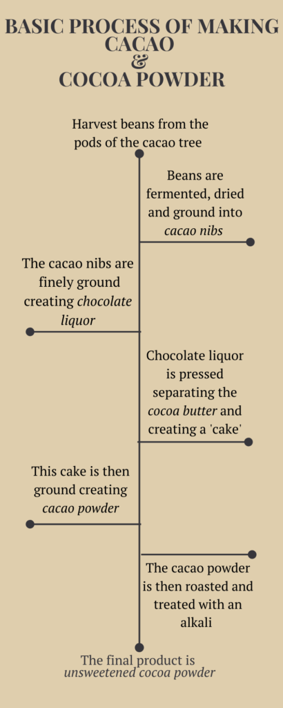 The process of making cocoa powder