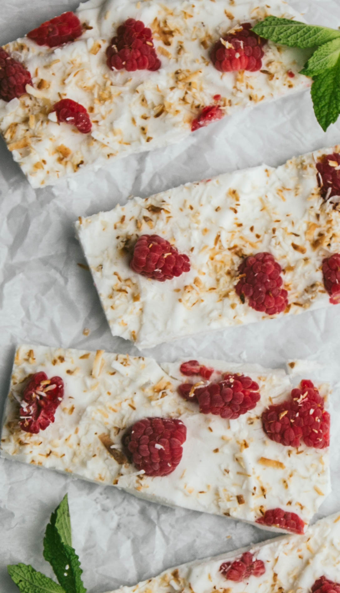 Up close aerial view of frozen yogurt bars with raspberries, toasted coconut and mint leaves