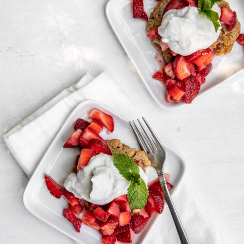 AIP strawberry shortcake on a picnic blanket